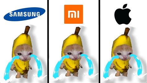 Banana Cat Crying But Famous Ringtones Youtube