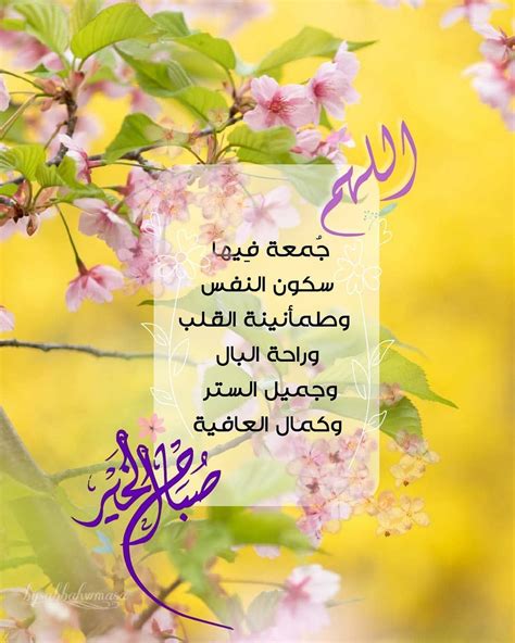 صبح و مساء 🕊 🇸🇦 🌸 On Instagram 🌺 صباح الخيرات والمسرات 🕊️ 🌻💐