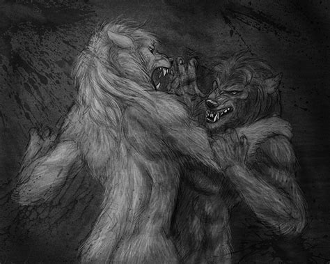 Werewolf Fight by Viergacht on DeviantArt