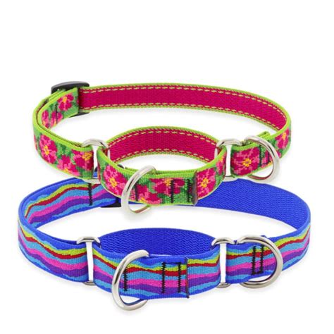 Martingale Collar For Dogs Original Designs By Lupine Pet