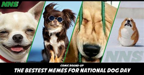 Bestest Memes for National Dog Day - Nerd News Social