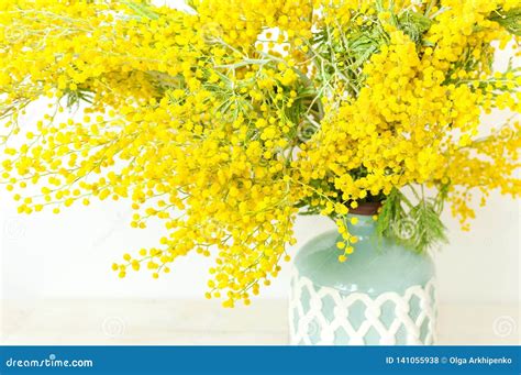 Spring Bouquet Of Yellow Mimosa Flowers In Turquoise Vase Against The