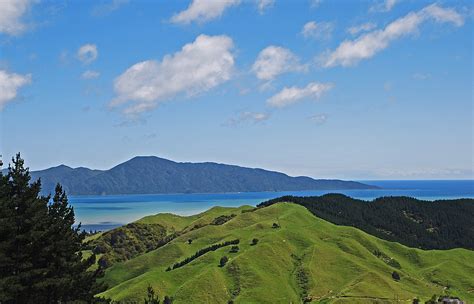 Top 10 Unbelievable Facts About Kapiti Island Nature Reserve Discover