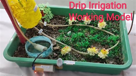 Drip Irrigation Working Model Science Project Youtube