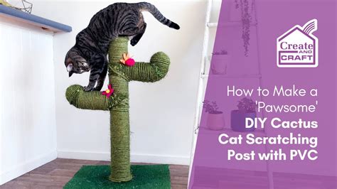 How To Make A Diy Cat Scratch Post Cactus Home Decor Ideas Create