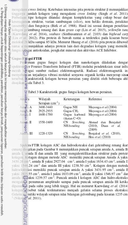 Optimasi Ekstraksi Dan Karakterisasi Kolagen Dari Gelembung Renang Ikan