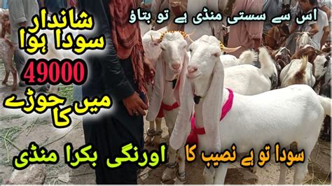 Ise Sasti Mandi ha kia Orangi Town Bakra Mandi Bakra Eid 2021 اورنگی