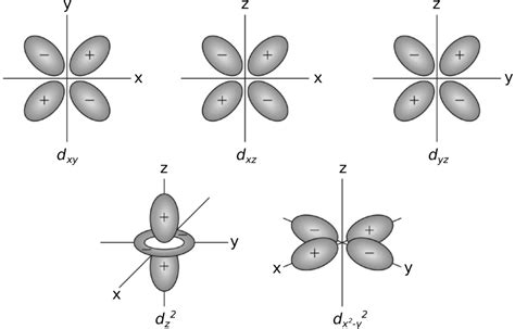 How to Draw Shapes of D Orbitals - Mainquesed Cambactint