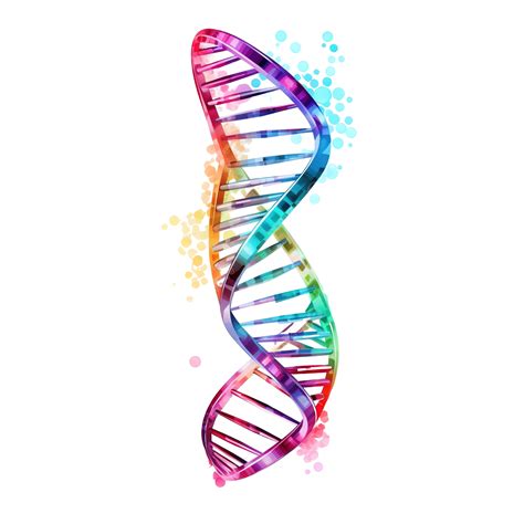 Dna Strand Png Illustration, Atom, Bio, Biochemistry PNG Transparent ...