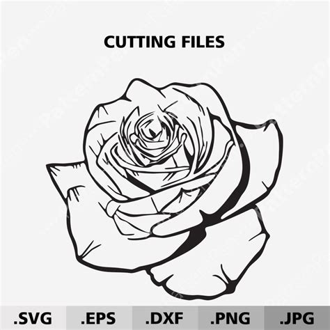 Rose Svg File For Cricut Flowers Svg Cut Files Flower Rose Etsy