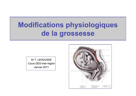 Modifications Physiologiques De La Grossesse Dar Dar