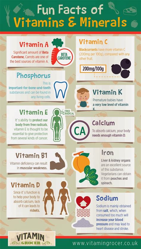 Fun Fact Of Vitamin And Mineral Visual Ly Fun Facts Multivitamin