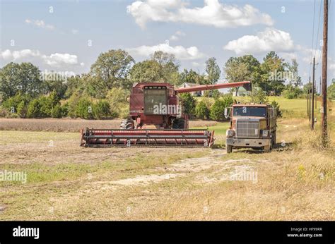 Soybean Harvest 2014 Stock Photo Alamy