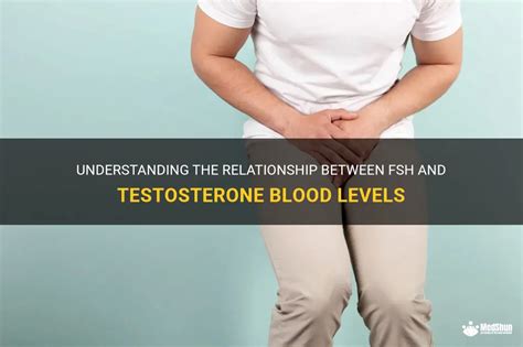 Understanding The Relationship Between Fsh And Testosterone Blood Levels | MedShun