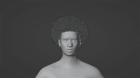 Afro Taper 2 - 3D Model by ItsAllInYour