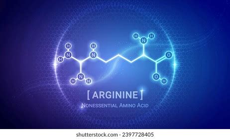 Arginine Amino Acid Chemical Structure Organic Stock Vector (Royalty ...