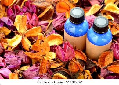 Potpourri Stock Photo Shutterstock