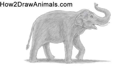 How To Draw An Elephant 10 Easy Drawing Projects