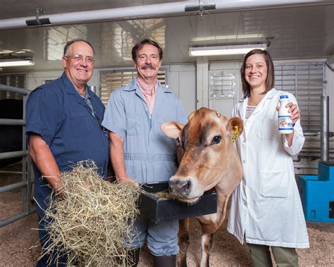 Standouts In Their Field Three Uw Dairy Science Faculty Receive Awards