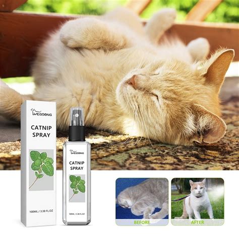 Active Catnip Spray High Potency Transparent Essential Liquid Spray