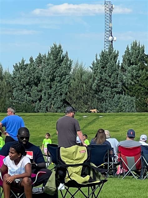 Mountain Lion at Brighton rec center : r/Denver