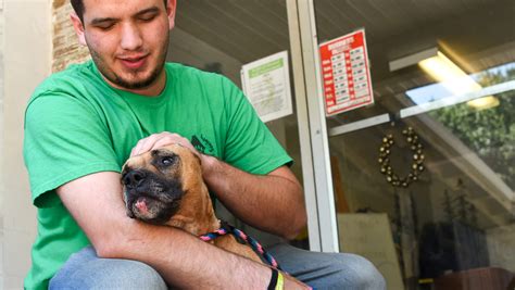 County Funding Change Could Close Pickens Humane Society Shelter