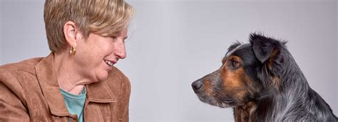 What is Animal Communication and How Does it Work? | Animalwize