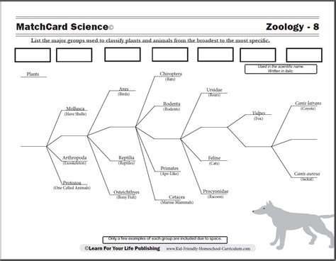 Zoology Curriculum