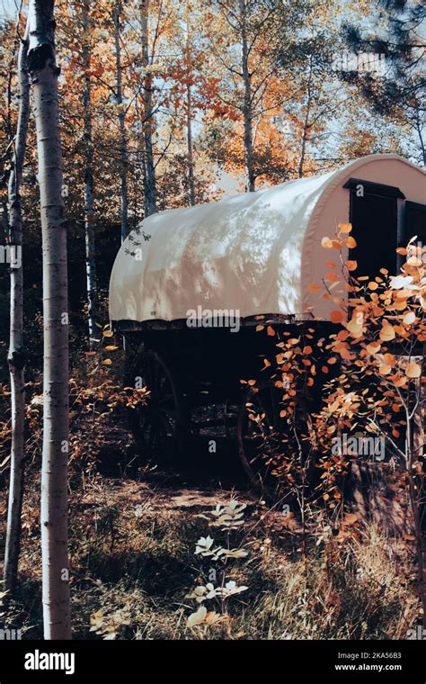 A model of a covered wagon used to travel west in the 1800s, surrounded ...