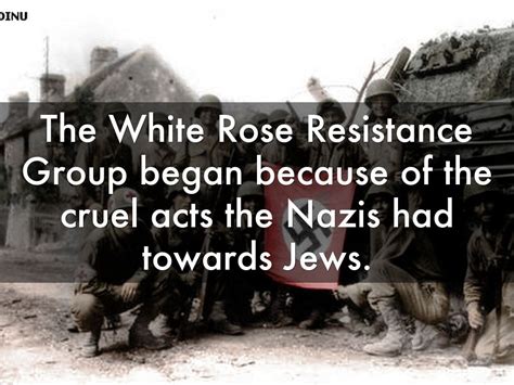 White rose Resistance group by Erin Nennig