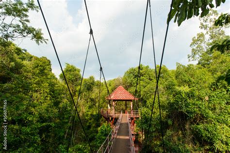 The Canopy Walkway is walking trail into a lowland jungle at Thung Khai ...