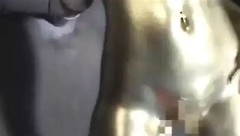 Japanese Gold Bodypaint Sex XHamster