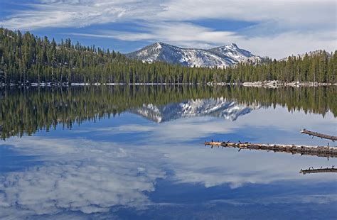 Tenaya Lake Yosemite National Park Photograph By Dean Pennala Fine