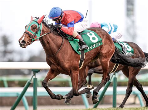 【フェアリーs結果】オルフェーヴル産駒ライラックが大外一気で重賞初制覇！ 競馬ニュース Netkeiba