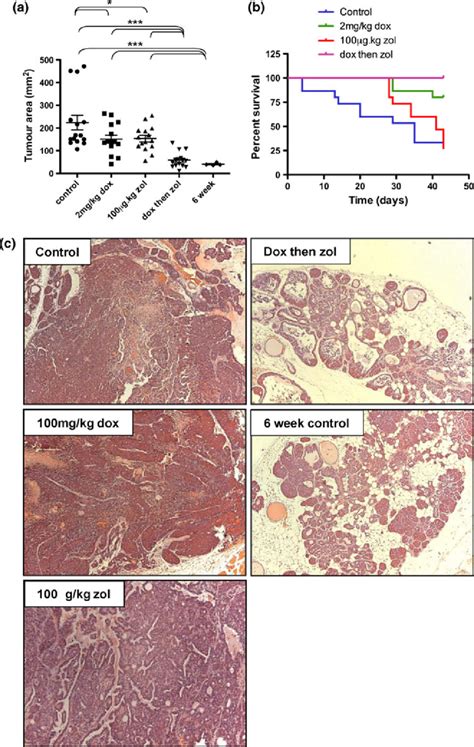 Effects Of Doxorubicin And Zoledronic Acid Alone And In Sequence On