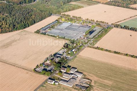 Seligenstadt Von Oben Gew Chshausreihen Zur Blumenzucht In