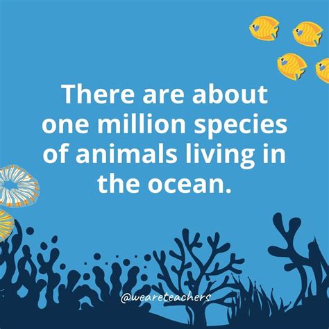 Ocean Facts for Kids to Share in the Classroom and at Home!