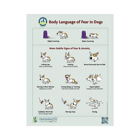 Body Language of Fear in Dogs (Packet of 25 Handouts) – CattleDog ...