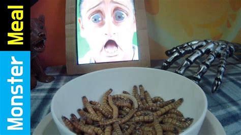 Larva And Mealworms Fictional Video Monster Meal Asmr Sounds Kluna Tik Youtube