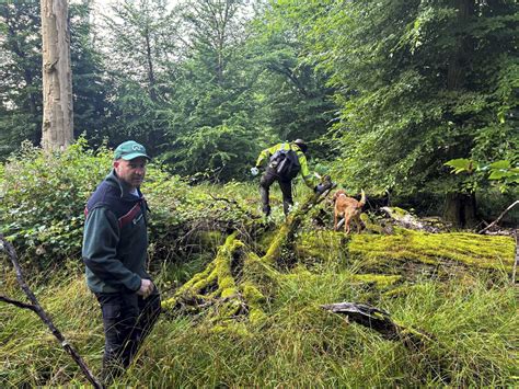 Hunde Und Drohnen Im Einsatz AFZ DerWald 16 2024