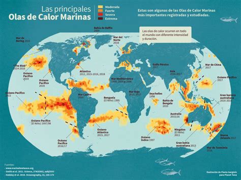 Las Principales Olas De Calor Marinas Planet Tuna