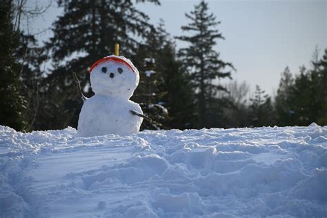 Snowman Image, Best Snowman Image, #33242