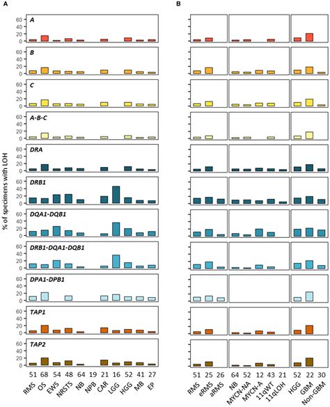 Frontiers Divergent Hla Variations And Heterogeneous Expression But