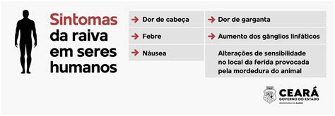 Raiva saiba mais sobre a doença quais os sintomas e como prevenir