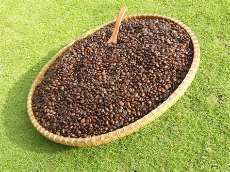 Jual Arabica Premium - Beans 225gr | SMEXPO Pertamina