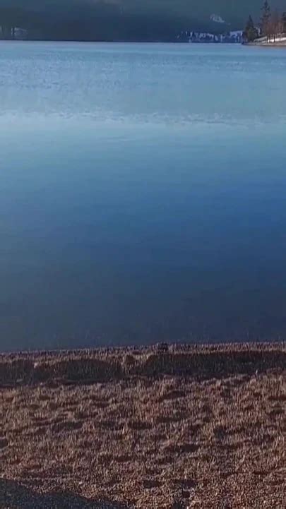 Femme Mature Blonde Amateur Nudité Naturelle xHamster