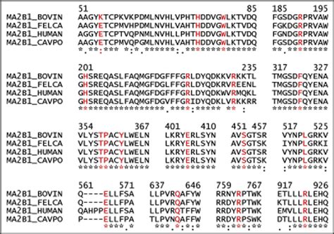Conservation analysis of mutations across the four species. Alignment ... 