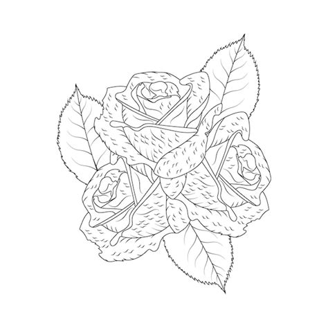 Premium Vector | Red Rose Flowers Coloring Page Line art Sketch Drawing ...