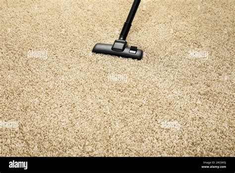Removing dirt from beige carpet with modern vacuum cleaner. Space for ...