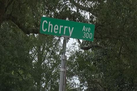 Couple Caught Having Sex In Parked Car